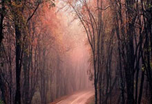 北京首钢队客场取胜，稳定朝季后赛迈进