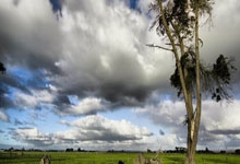 葡萄牙队晋级可期，小组积分领先