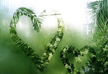 帕尔玛遭遇憾负，未能止住连败势头