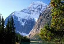 芬兰主场取胜，成功突围下一轮比赛