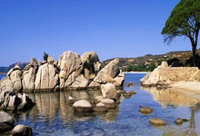 苏宁引援市场冷清，球队未来存疑